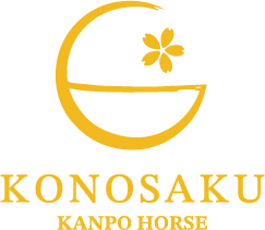 KONOSAKU